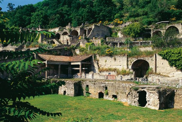 Phlegraean Fields: Cuma Baia and Pozzuoli private excursion - Pozzuoli’s former market: the Macellum Temple of Serapis