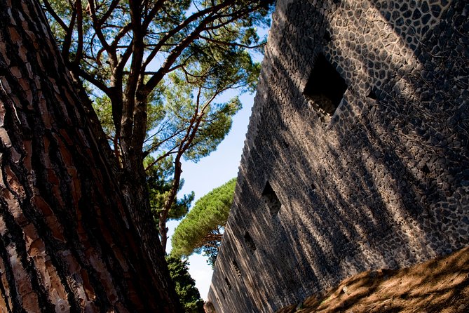 POMPEI Half Day TOUR - Departure from NAPLES Centre (TICKET INCLUDED) - Inside Pompeii in about 2 hours: how the guided route pays off