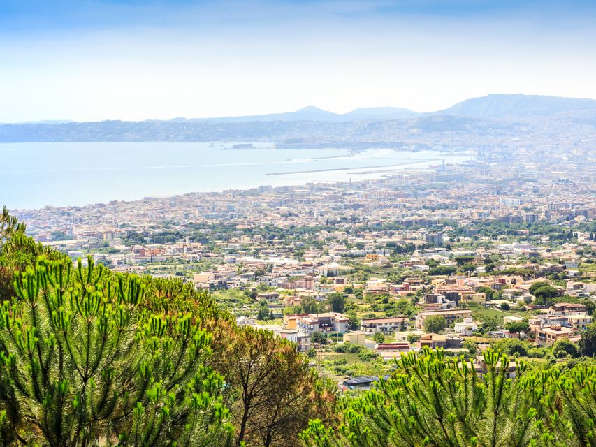Pompei: Mount Vesuvius and Pompeii with Round-Trip Transfer - How the timing fits a 5-hour day without feeling rushed
