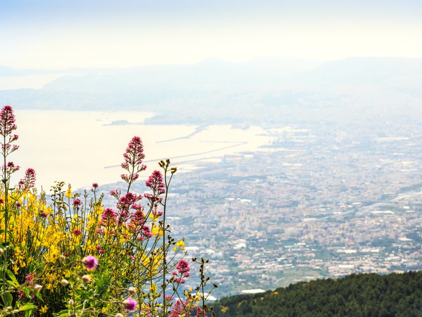 Pompei: Mount Vesuvius and Pompeii with Round-Trip Transfer - What to pack for Vesuvius and Pompeii, plus comfort hacks