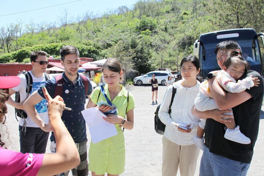 Pompei: Vesuvius and Herculaneum Tour - What’s Included for $95.16, and What Costs Extra
