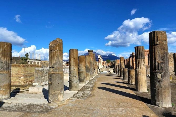 Pompeii 2 h guided tour - Skip-the-line Priority Access - House of the Faun (Casa del Fauno): mosaics and statues with context