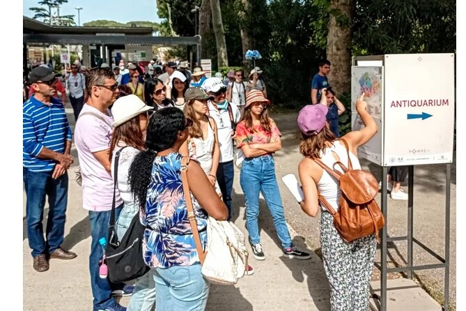 Pompeii 2 hours Private guided tour, A JOURNEY THROUGH THE TIME - Who should book this Pompeii private tour, and who might want another option