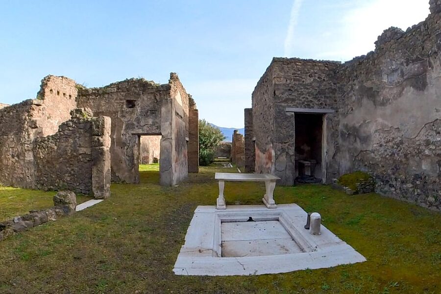 Pompeii: 2 Hours Skip the Line Visit with a Licensed Guide - Quick Hit Takeaways