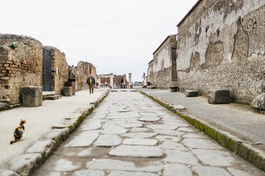 Pompeii: Afternoon to Sunset Guided Tour with Ticket - Forum and Basilica: Pompeii’s Civic Heart in Stone