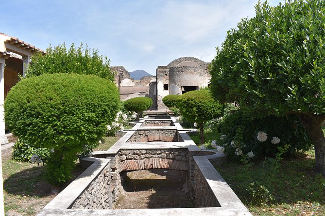 Pompeii & Amalfi Coast Tour from Naples or Sorrento - Pompeii Archaeological Park in 2 Hours, What You’ll See
