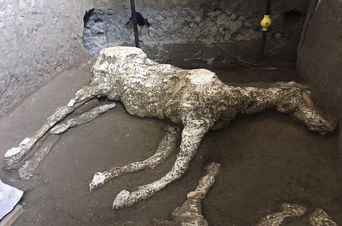 Pompeii and Herculaneum Day Tour - with Lunch from Naples - Lunch Break and Timing: Refuel Without Losing the Rhythm