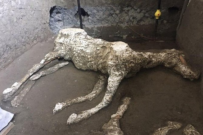 Pompeii and Herculaneum Day Tour - with Lunch from Naples - When You Should Choose This Tour (And When You Should Not)