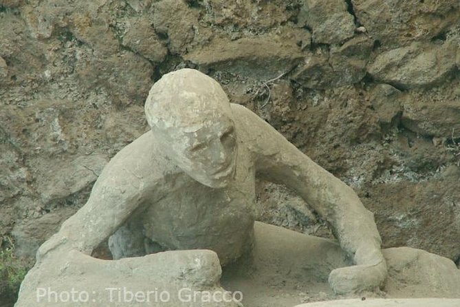 Pompeii and Herculaneum Day Tour - with Lunch from Naples - Should You Book This Naples Pompeii and Herculaneum Day Tour?