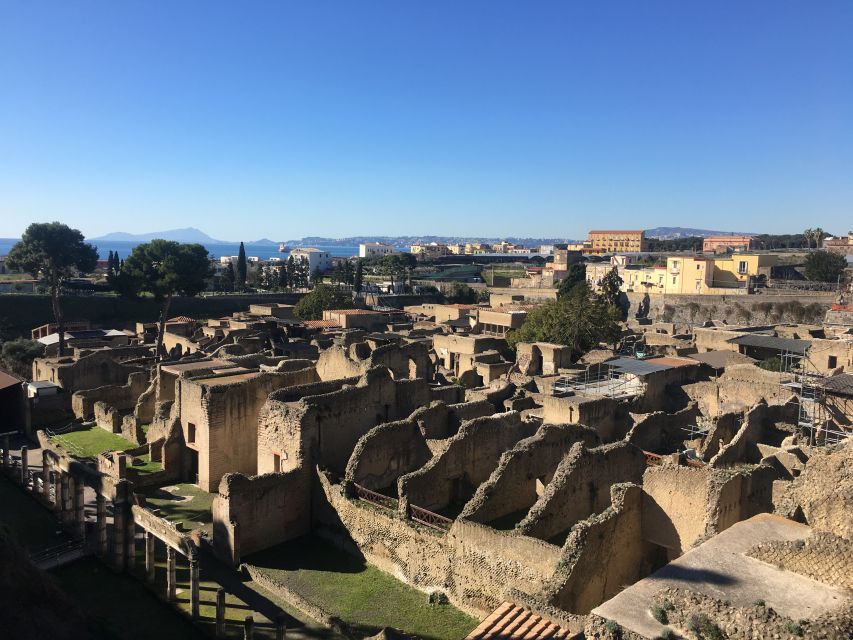 Pompeii and Herculaneum: Guided Tour with an Archaeologist - The train jump to Herculaneum, then a new kind of preservation