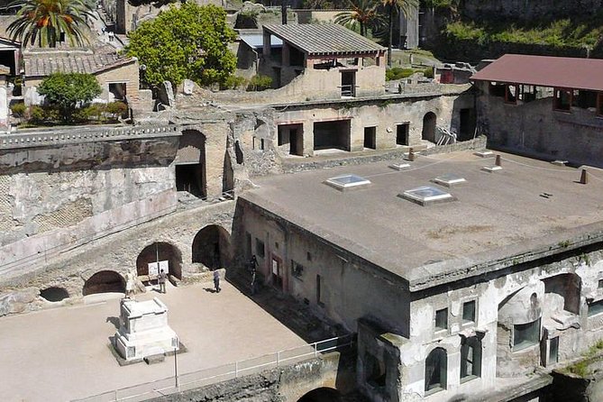 Pompeii and Herculaneum Private Tour - The private chauffeur and pickup from the port or your hotel