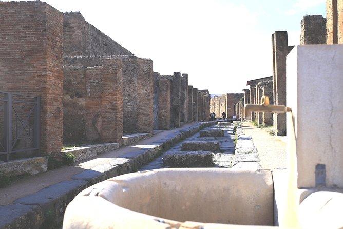 Pompeii and Herculaneum Private Tour with Native Guide and Skip the Line Tickets - Via dell’Abbondanza: walking the main street of commerce