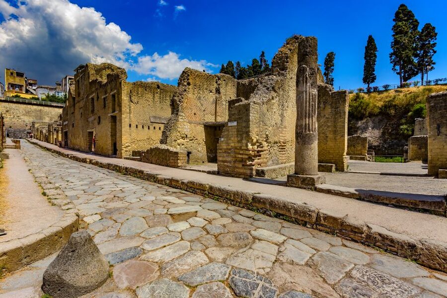 Pompeii and Herculaneum: Private Tour with Transportation - Entry tickets and skip-the-line handling: what to expect at the gates