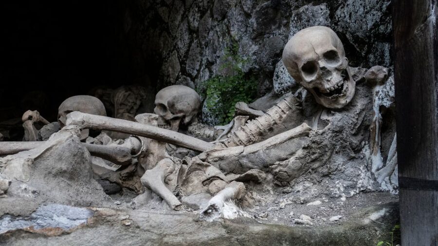 Pompeii and Herculaneum: Private Tour with Transportation - Who this tour suits best