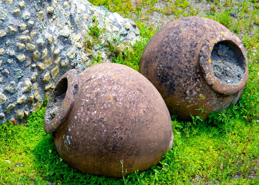 Pompeii and Herculaneum: Private Tour with Transportation - Should you book this private Pompeii and Herculaneum day?