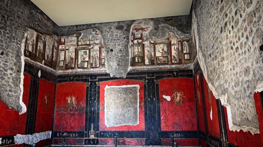 Pompeii and House of Vettii Guided Tour - Accessibility and who should reconsider