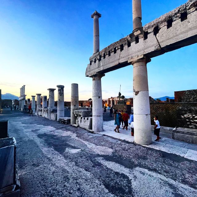 Pompeii and House of Vettii Guided Tour - Skip-the-line entry that actually saves your day