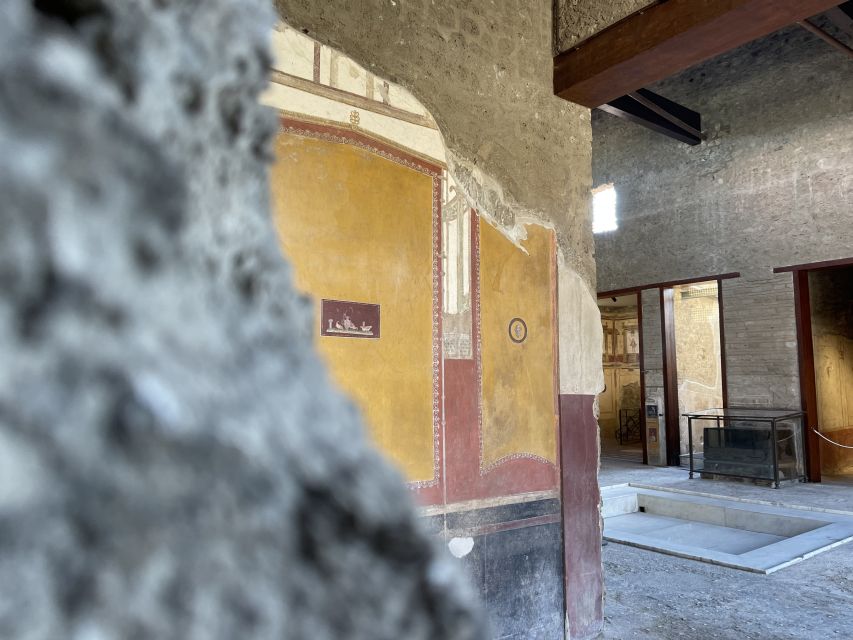 Pompeii and House of Vettii Guided Tour - Price and value: is $49 worth it?