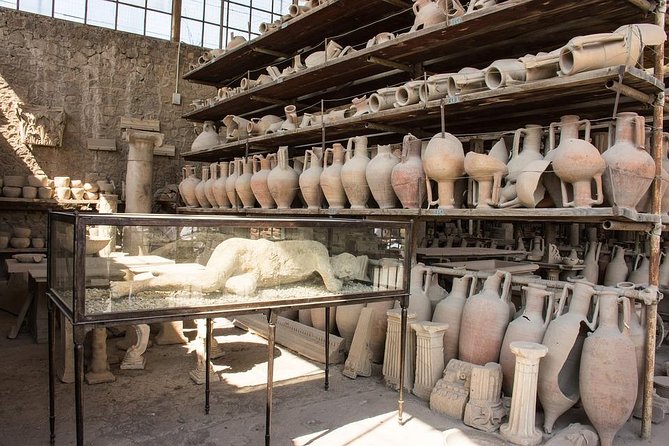 Pompeii and Naples Tour by High-Speed Train - Who should book this Pompeii and Naples train day?