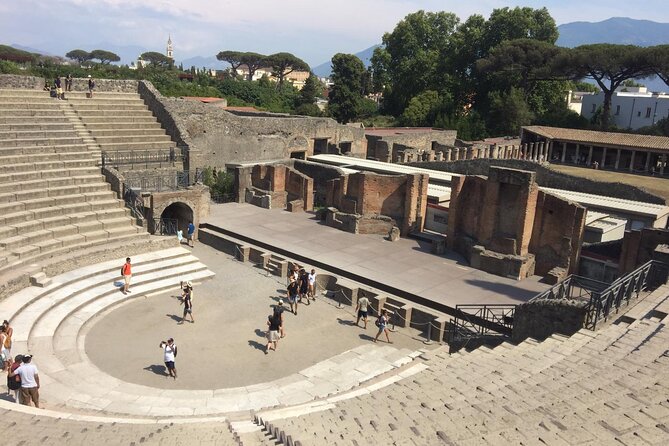 Pompeii and Sorrento Day Trip from Naples - Entering Pompeii With a Guide: Forum, Thermal Baths, and Lupanare