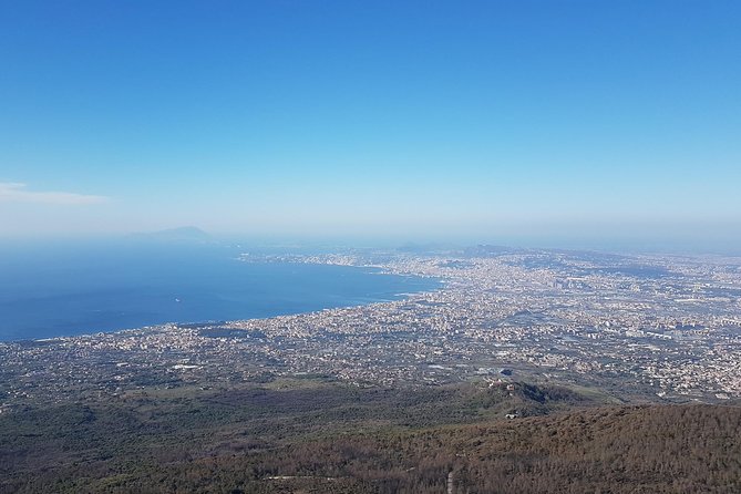 Pompeii and Vesuvius Day Trip from Naples with Skip The Line - Price and value: when it feels fair, and when it does not