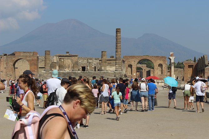 Pompeii and Vesuvius from Naples. Private activity - The crater walk: where the views really pay off