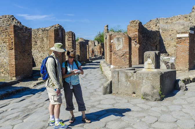 Pompeii and Vesuvius Full Day Private Shore Excursion - Lunch on Your Own at Pompeii or the Volcano Slopes