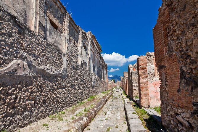 Pompeii and Vesuvius Wine Tasting Private Tour - Key highlights you should care about