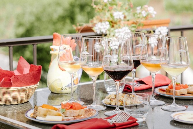 Pompeii and Vesuvius Wine Tasting Private Tour - What the private format feels like on the ground