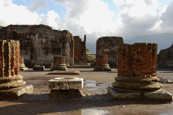 Pompeii Archaeological Area Entrance Ticket - Price and Logistics: Worth $54.44, If You Plan for One Possible Headache