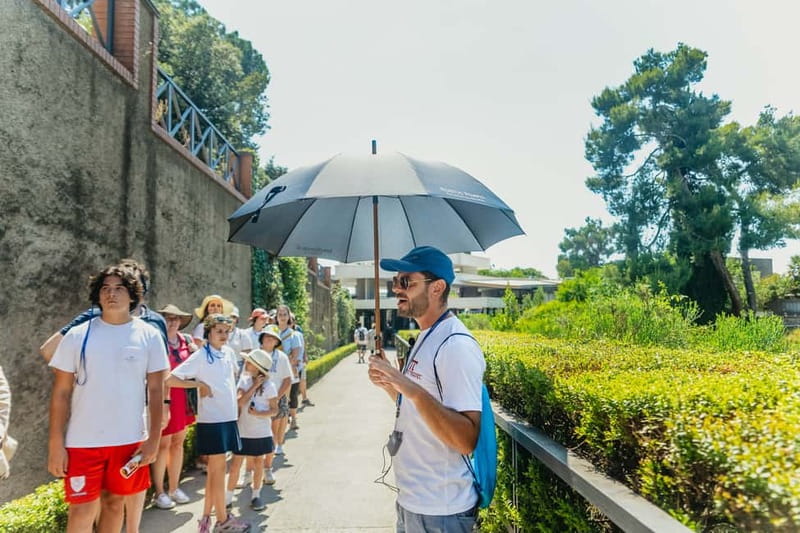 Pompeii: Archaeological Park Tour with Ticket on request - First Sunday free entry: plan for uncertainty