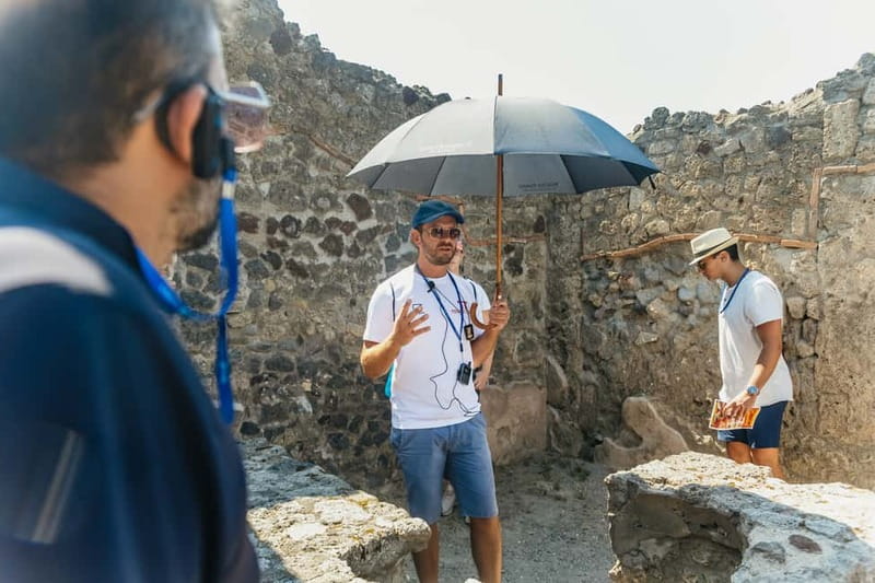 Pompeii: Archaeological Park Tour with Ticket on request - Price and value: is $31.89 worth it?