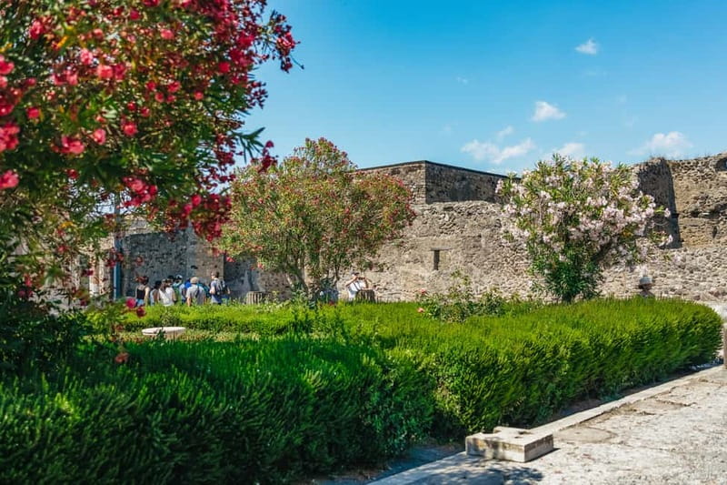 Pompeii: Archaeological Park Tour with Ticket on request - Skip the lines, then walk real Roman streets