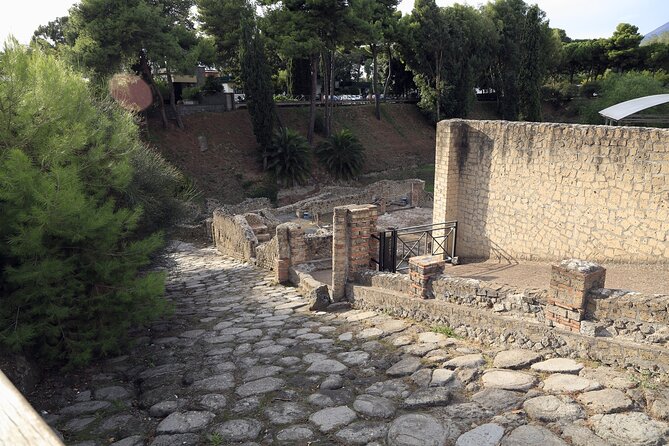 Pompeii Day Tour - Group size, crowds, and why the “exact route” line matters