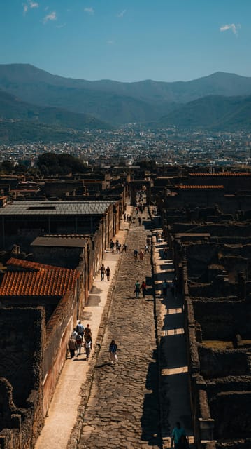 Pompeii: Entrance Ticket - Skip the Line - Who Should Book This Skip-the-Line Ticket