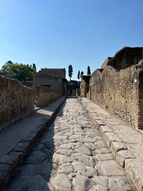 Pompeii Guided Experience - Tour Service Only - The 2-hour Pompeii format: what that time window means