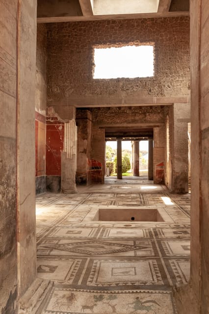 Pompeii Guided Experience - Tour Service Only - Licensed local guide: where the value really lives