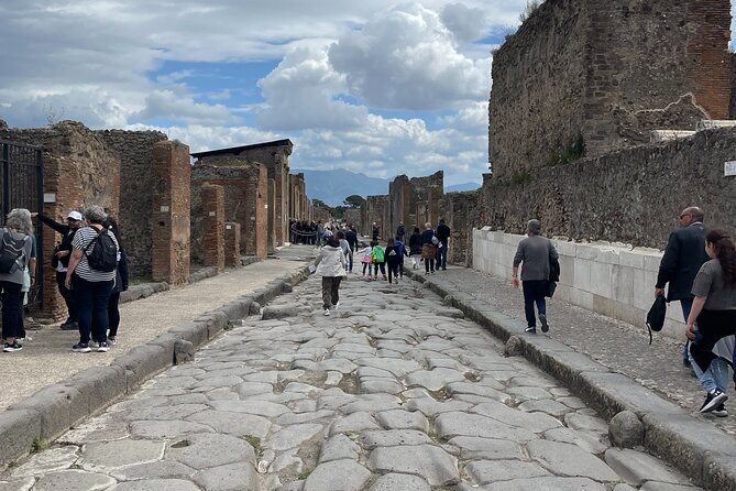 Pompeii Guided Tour from Naples with Transport and Entrance Included - Expert stops in Pompeii, plus admission handled