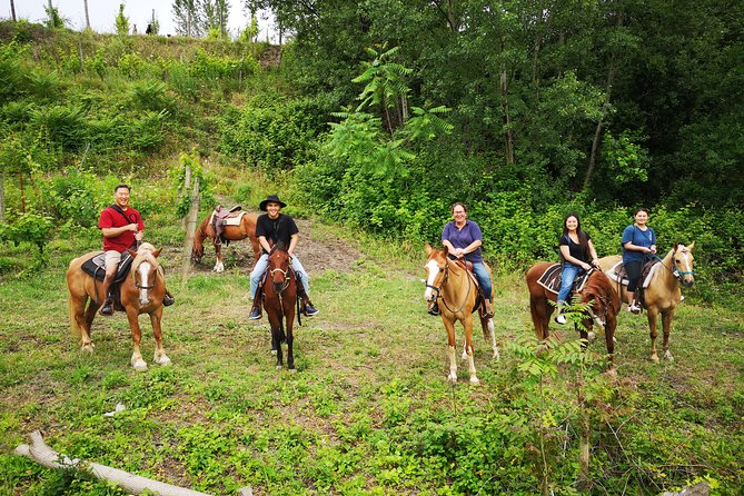 Pompeii Guided Tour & Horse Riding on Vesuvius with Lunch - Price and value: what you are actually paying for