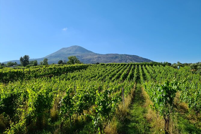 Pompeii Guided Tour & Lunch with Superior Wine Tasting - When the winery experience feels personal, and when it does not