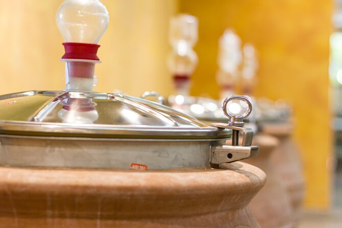 Pompeii Guided Tour & Lunch with Superior Wine Tasting - Who should book this Pompeii and wine tour