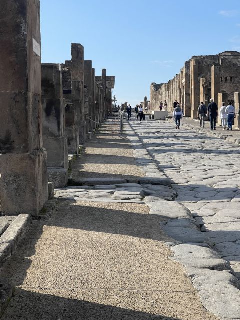 Pompeii: Guided Tour & Skip the Line Ticket - How Pompeii stayed frozen in time after Vesuvius