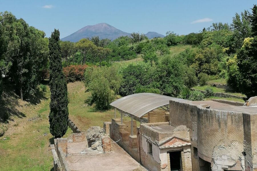 Pompeii: Guided Tour with Archaeologist with max. 12 People - Forum and Temple of Jupiter: Politics, Worship, and Big Public Spaces