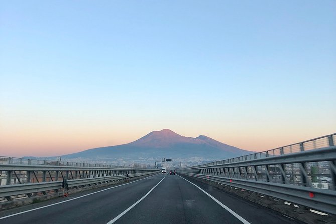 Pompeii, Herculaneum and Vesuvius Private Guided Tour - Private format: comfort, flexibility, and a guide who can steer