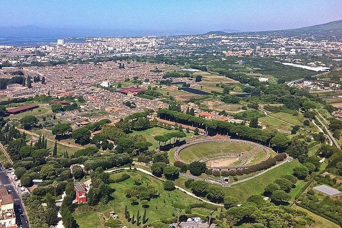 Pompeii, Herculaneum and Vesuvius Private Guided Tour - Who should book this tour, and who might prefer another plan