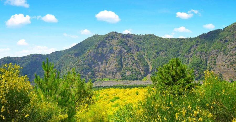 Pompeii, Herculaneum and Vesuvius Tour - Key highlights worth planning for