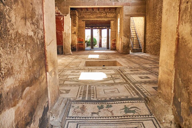 Pompeii, Herculaneum & Mt Vesuvius Private Tour from Naples - A One-Day Sweep: Private Naples Transport to Pompeii, Herculaneum, and the Crater