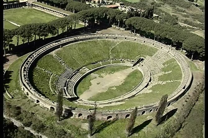Pompeii & Herculaneum Private Tour: Fast-Track, Winery & Lunch - Pompeii’s Forum, villas, and mosaics: what your guide should point out