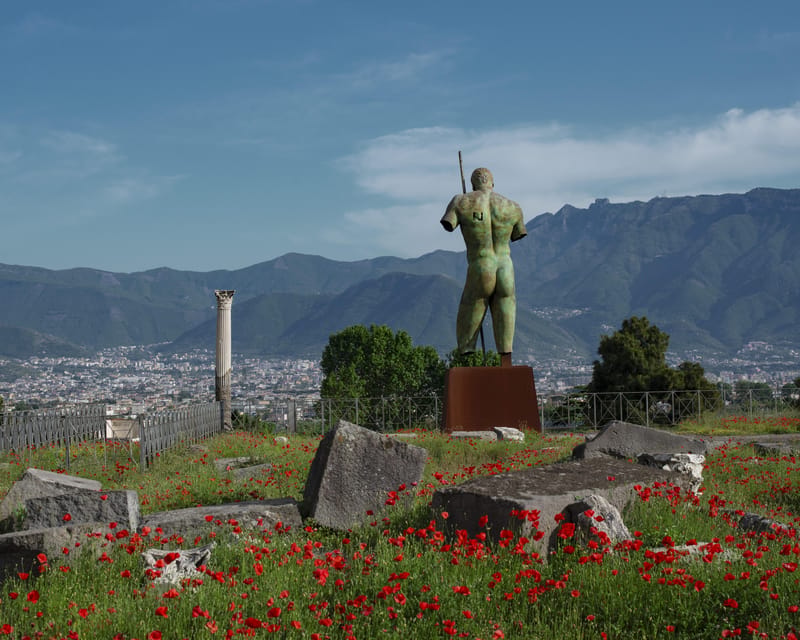 Pompeii & Herculaneum: Skip-the-line & Digital Guide App - Pompeii and Herculaneum: what makes this format actually work