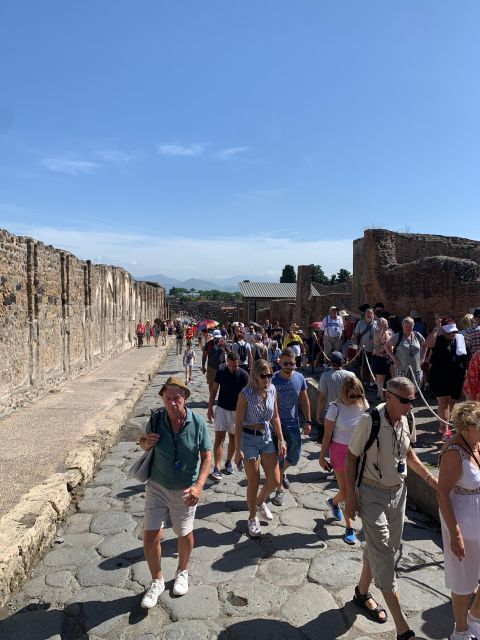 Pompeii in 2h and 30mnt: walk with local guide - What to bring and who this tour fits best